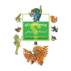 چراهای شگفت انگیز- آب سنگ‌های مرجانی