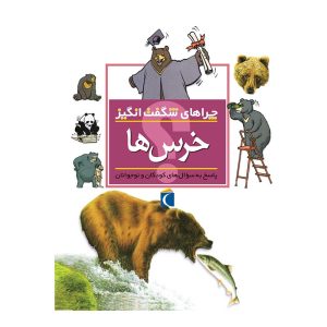 چراهای شگفت‌انگیز - خرس‌ها